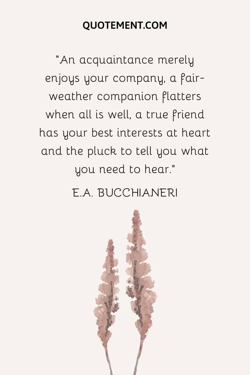 An acquaintance merely enjoys your company, a fair