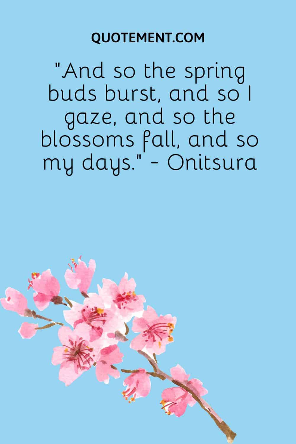 And so the spring buds burst, and so I gaze, and so the blossoms fall, and so my days