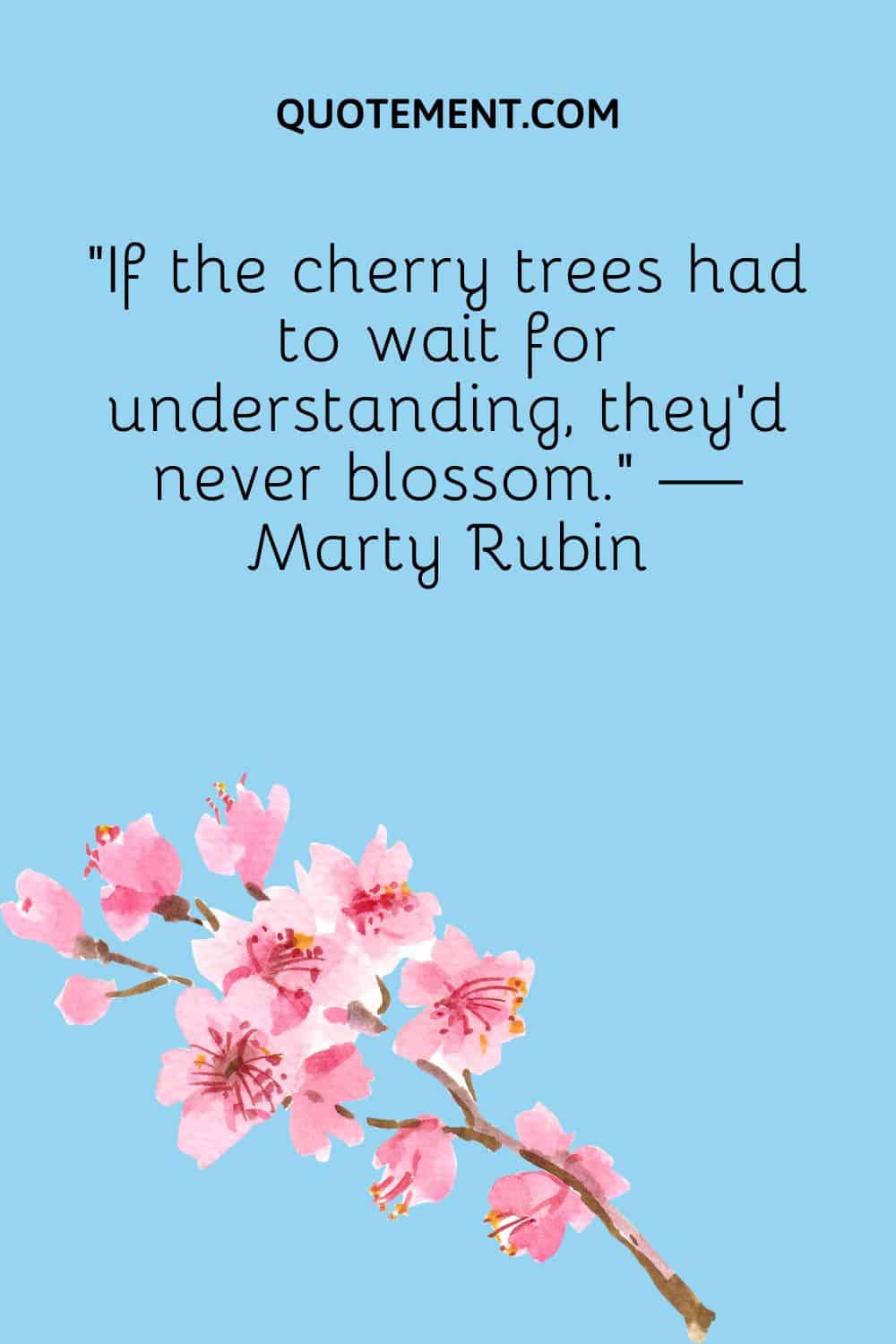 If the cherry trees had to wait for understanding, they'd never blossom