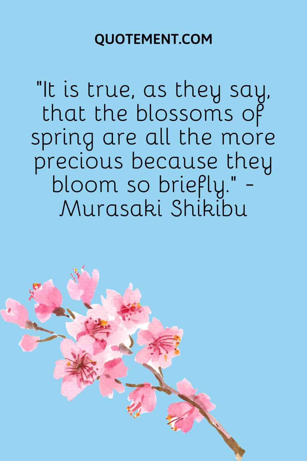 It is true, as they say, that the blossoms of spring are all the more precious because they bloom so briefly