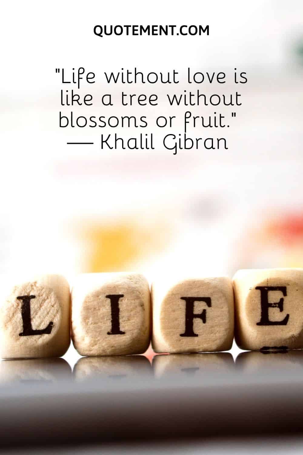 Life without love is like a tree without blossoms or fruit