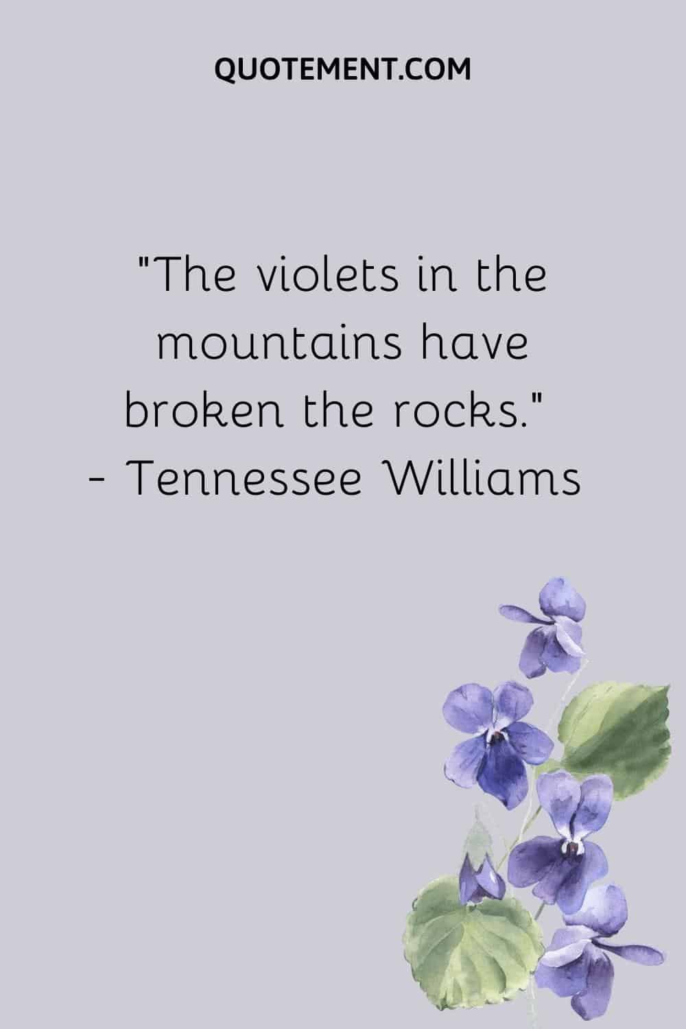 “The violets in the mountains have broken the rocks.” ― Tennessee Williams