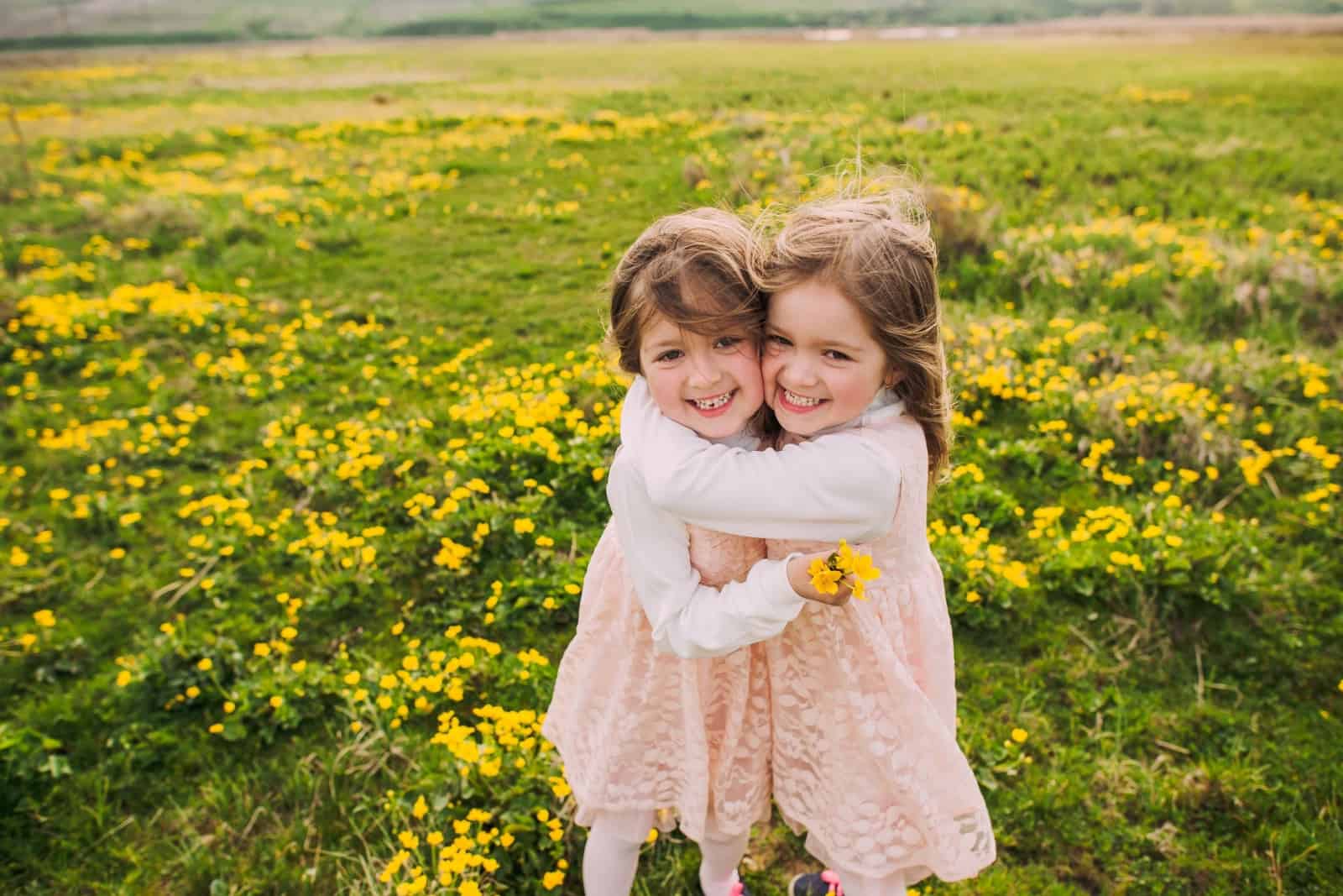 cute twin sisters, embrace on a background field with yellow flowers