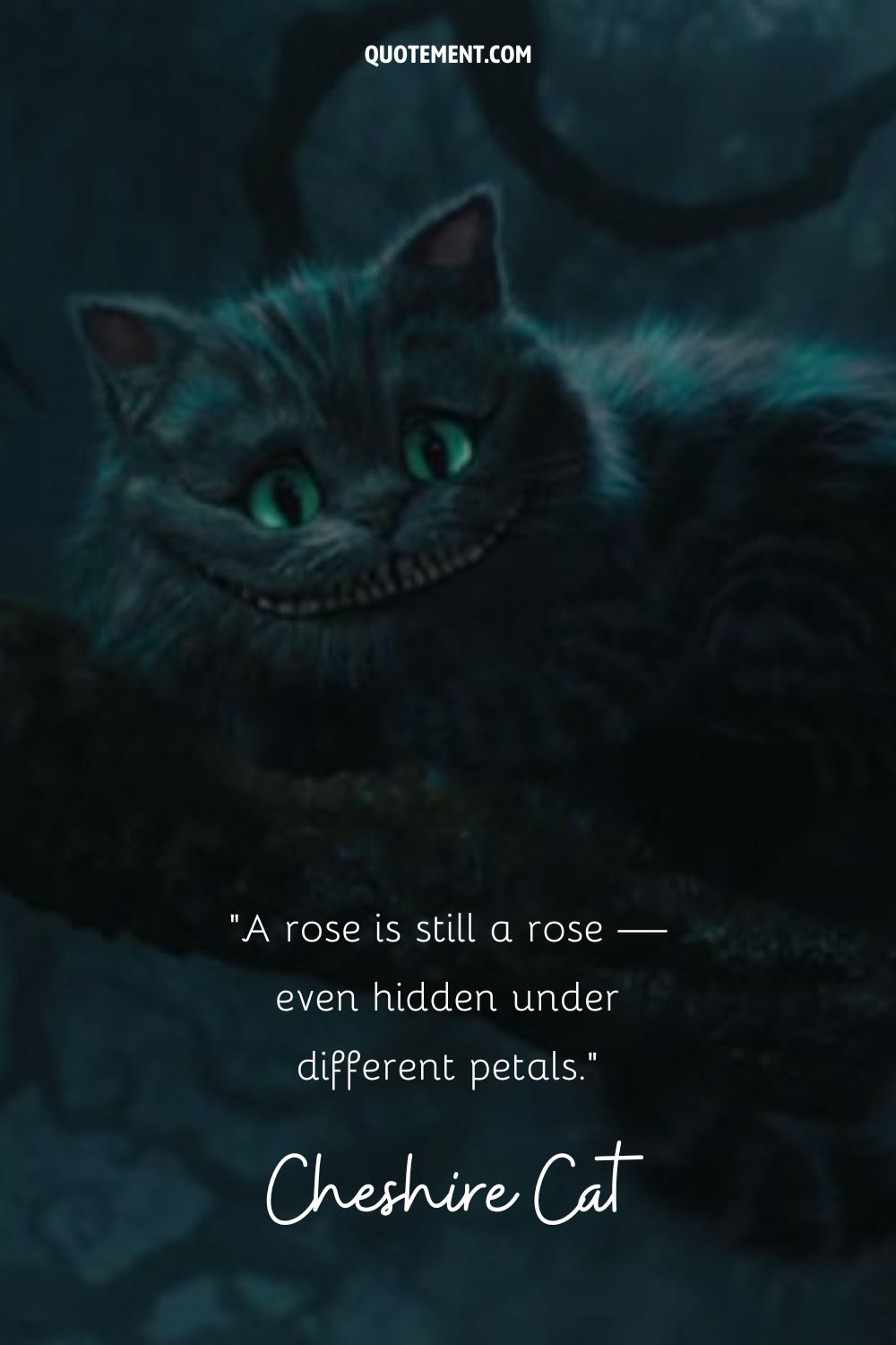 Inspirational quote from the Cheshire Cat and the image of the cat in the background