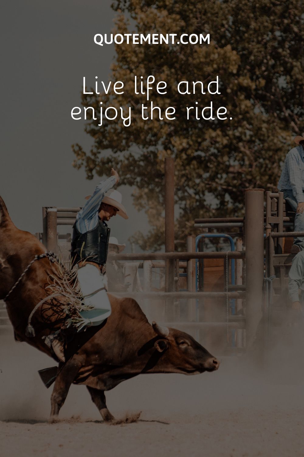 a guy on rodeo bull
