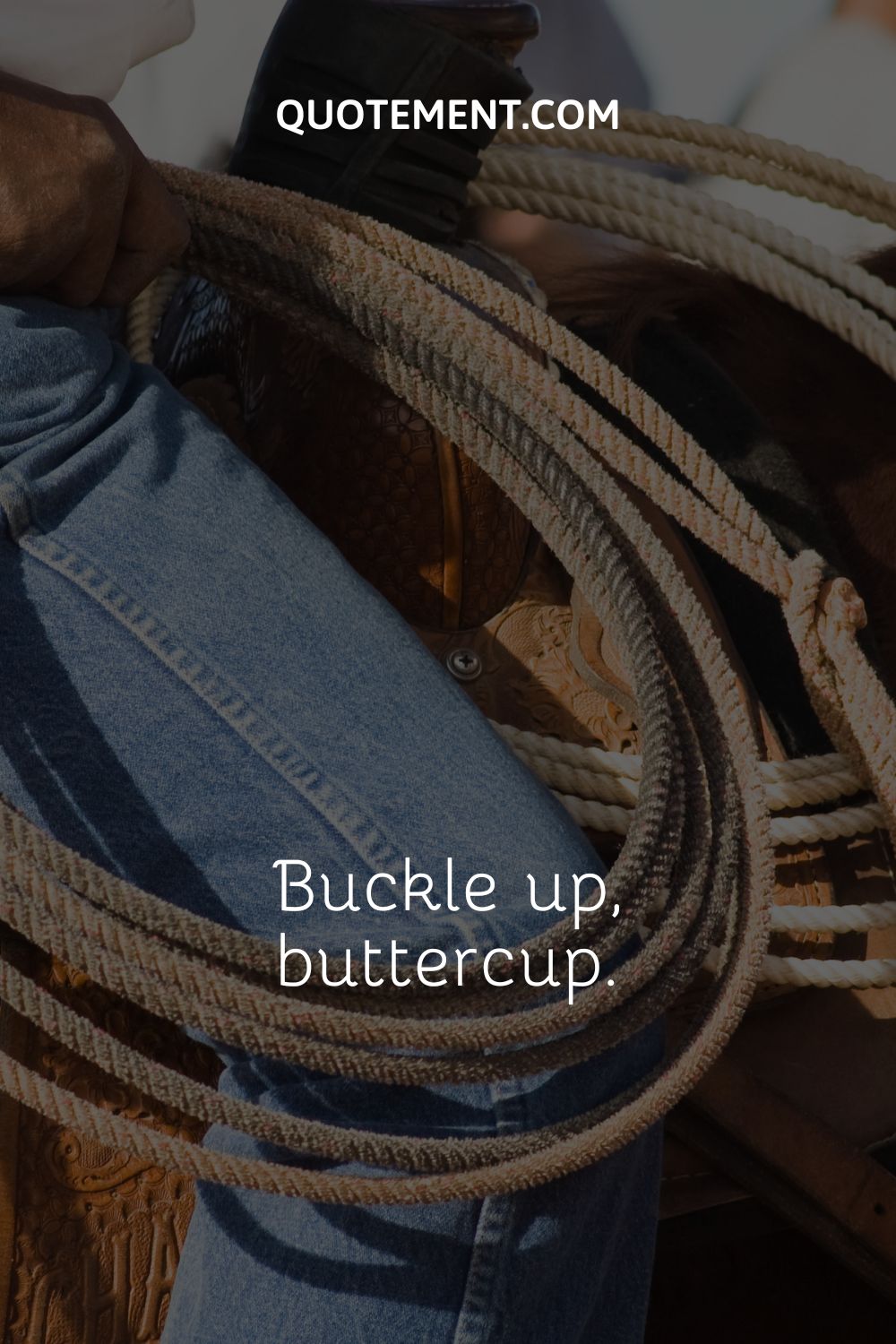 a person holding a horse rope
