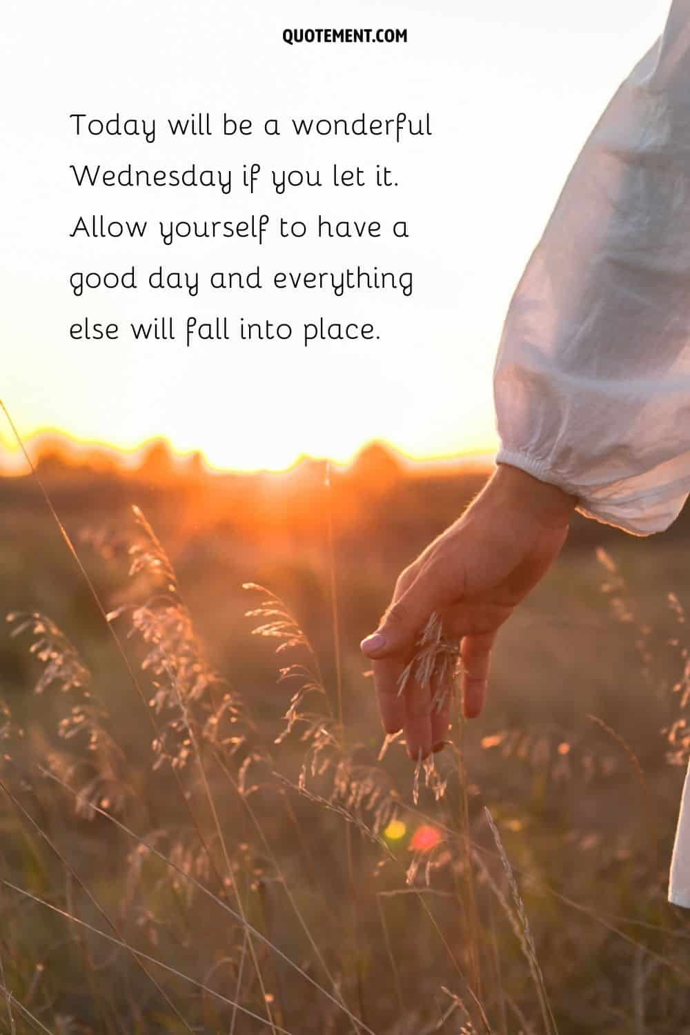 a woman's hand reaches out to the field's grass