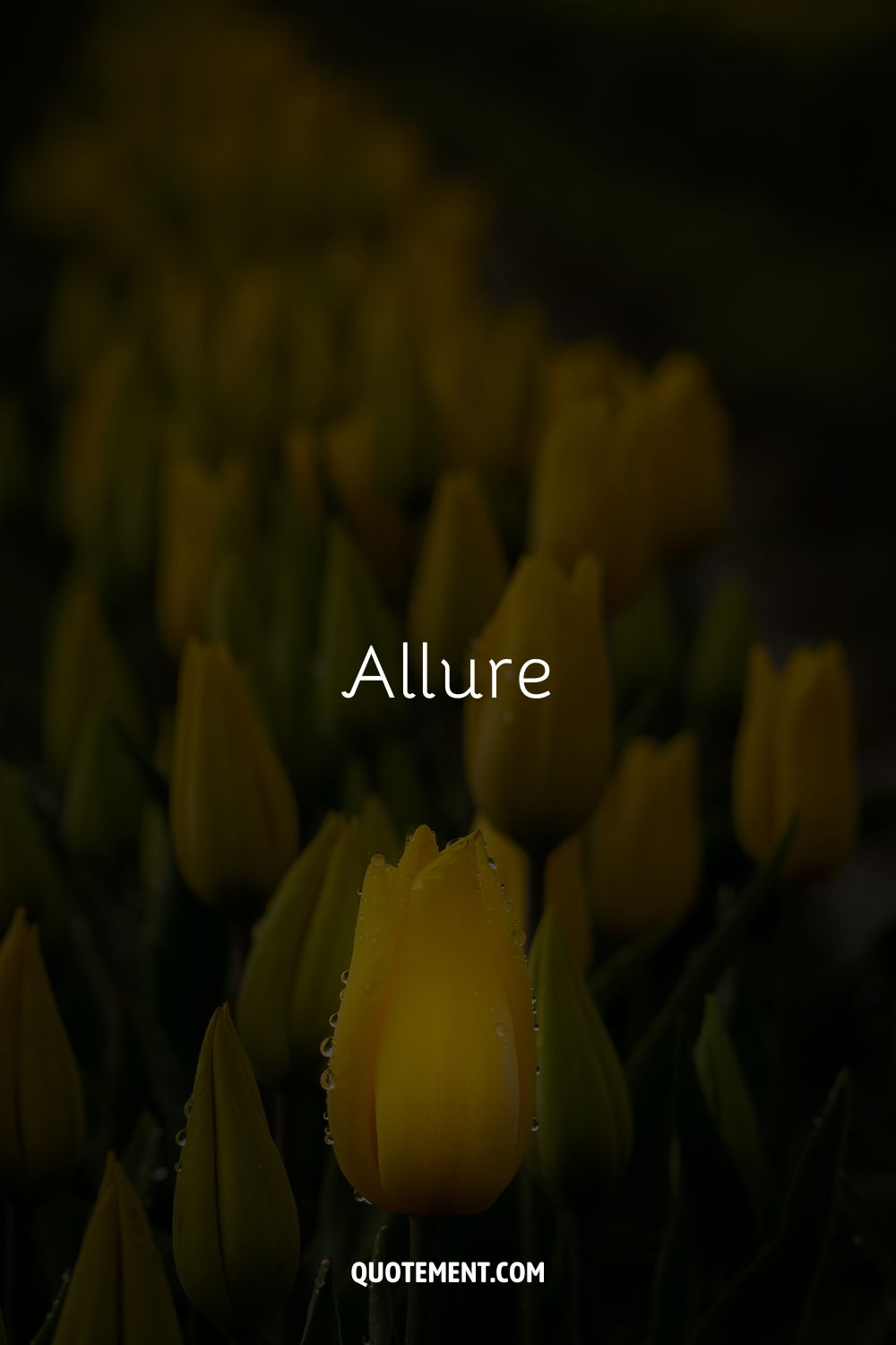 Allure