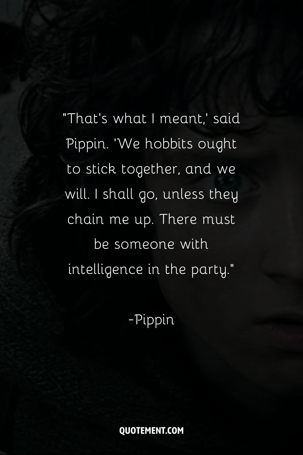 That's what I meant,' said Pippin.